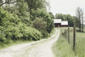 ebba-thoresson-NLZvGlPkoh0-unsplash (1)